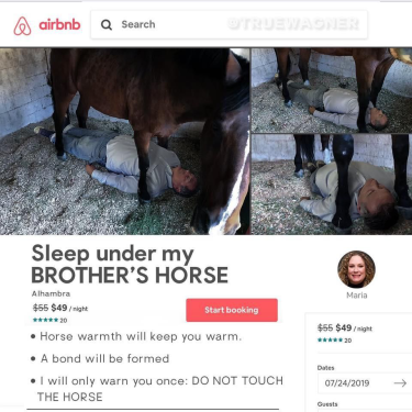 http://files.rsdn.org/45833/sleephorse.png