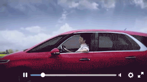 http://files.rsdn.org/69729/Citroen.gif