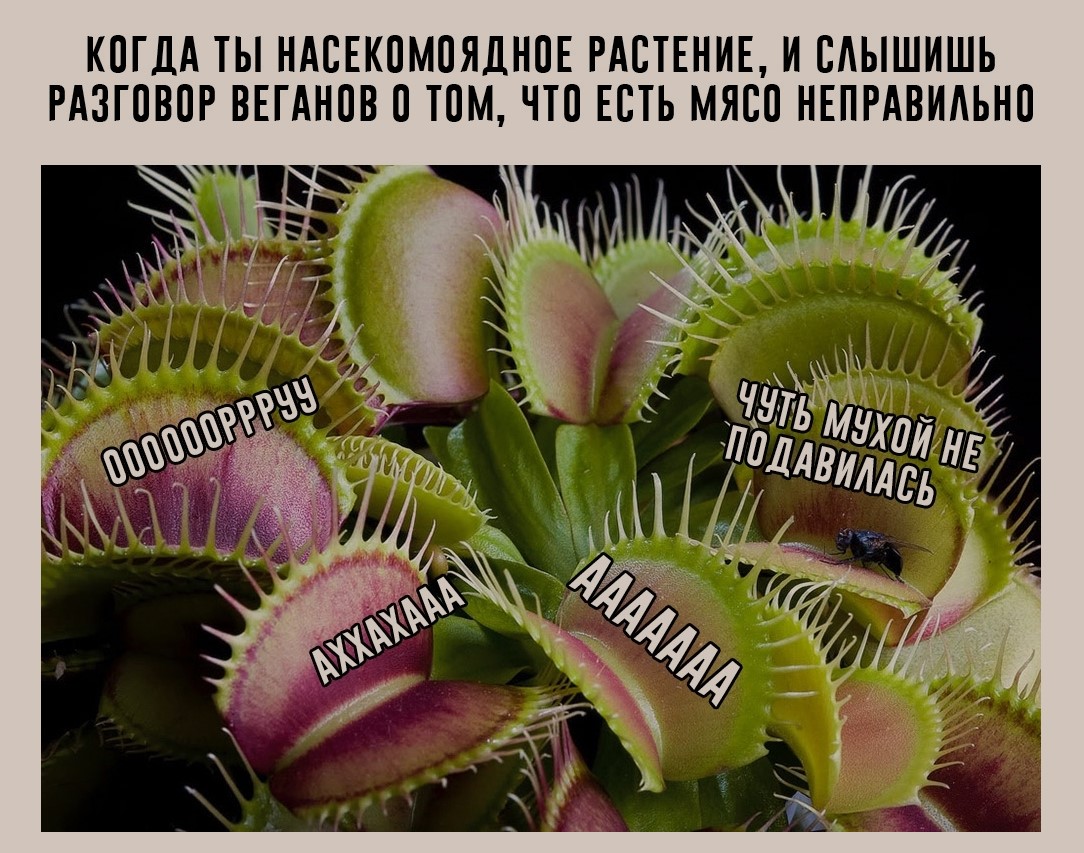 http://files.rsdn.org/77557/IfAcKwTB0fQ.jpg